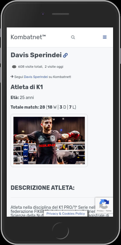 Scheda fighter - Kombatnet