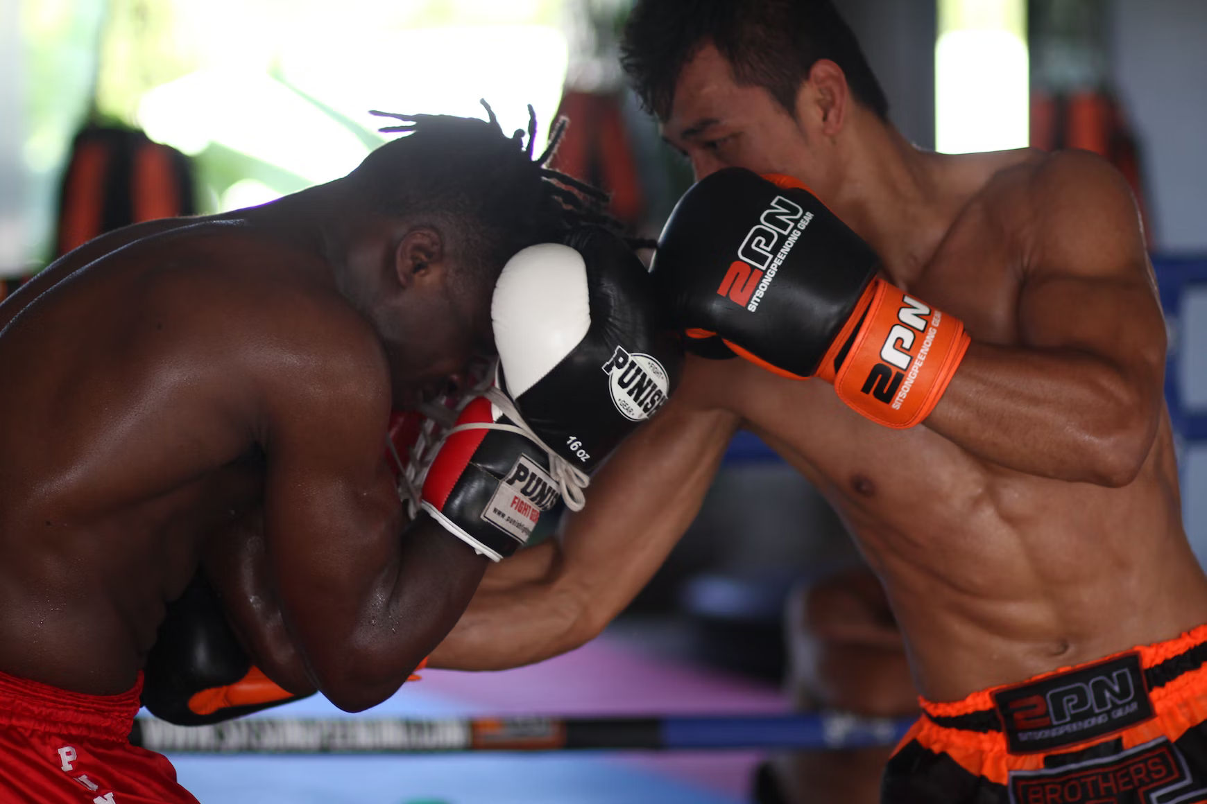 Siti web per palestre di boxe muay thai kickboxing savate sanda pugilato - Kombatnet
