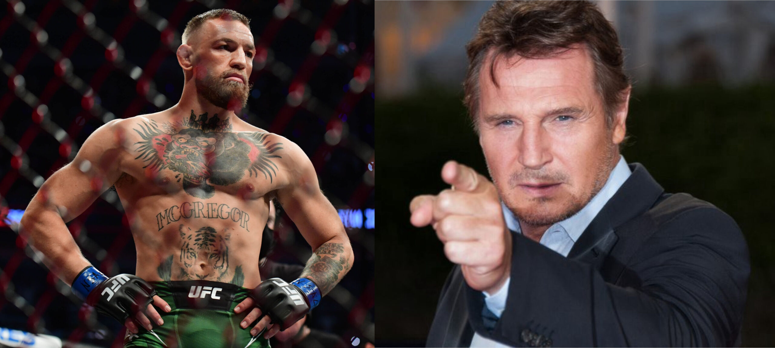 Liam Neeson vs. Conor McGregor e l'UFC: "Le MMA sono una rissa da bar"