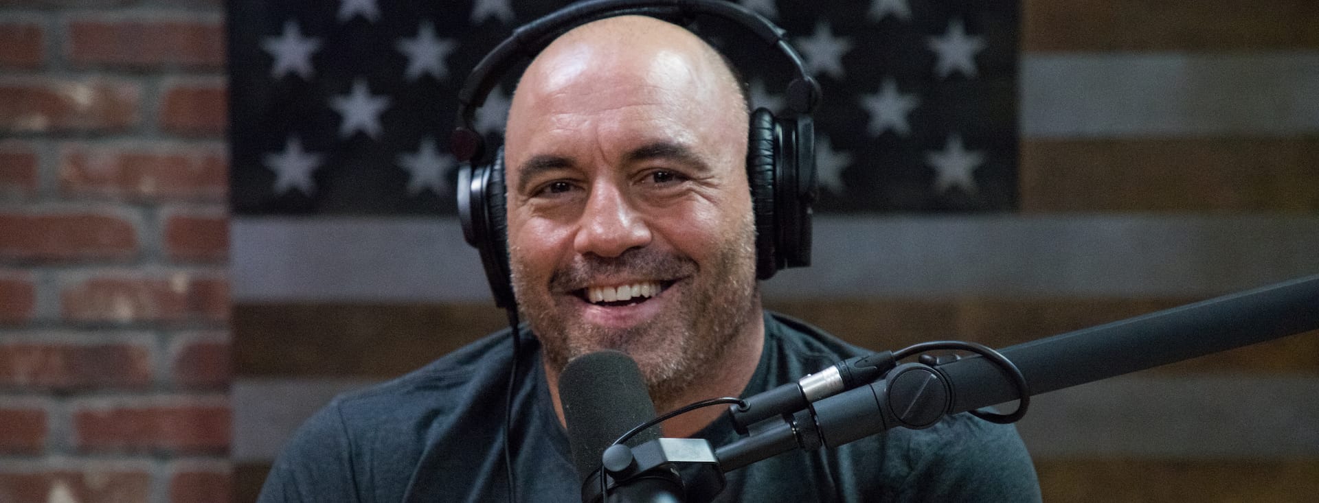 Joe Rogan vuole i colpi alla nuca nelle MMA