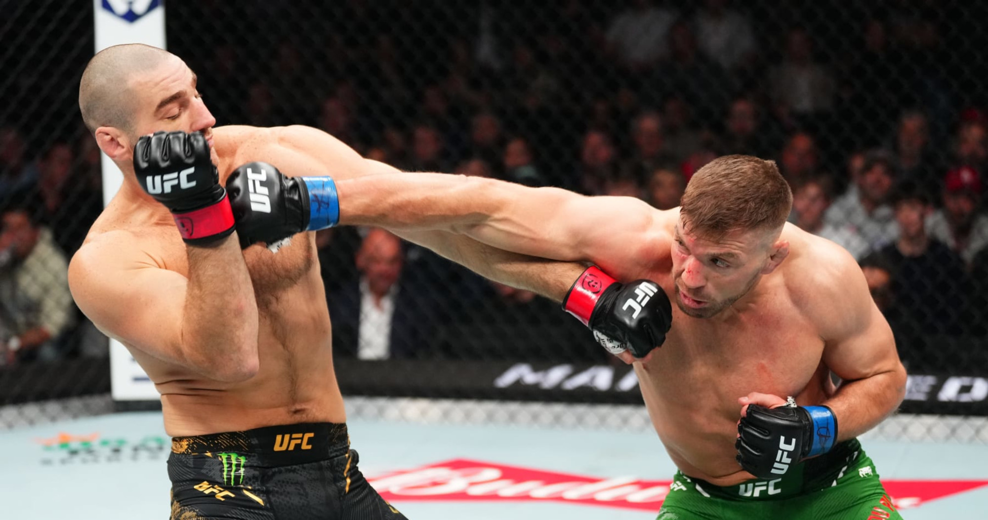 Dricus Du Plessis batte Sean Strickland a UFC 297 e conquista il titolo dei pesi medi UFC