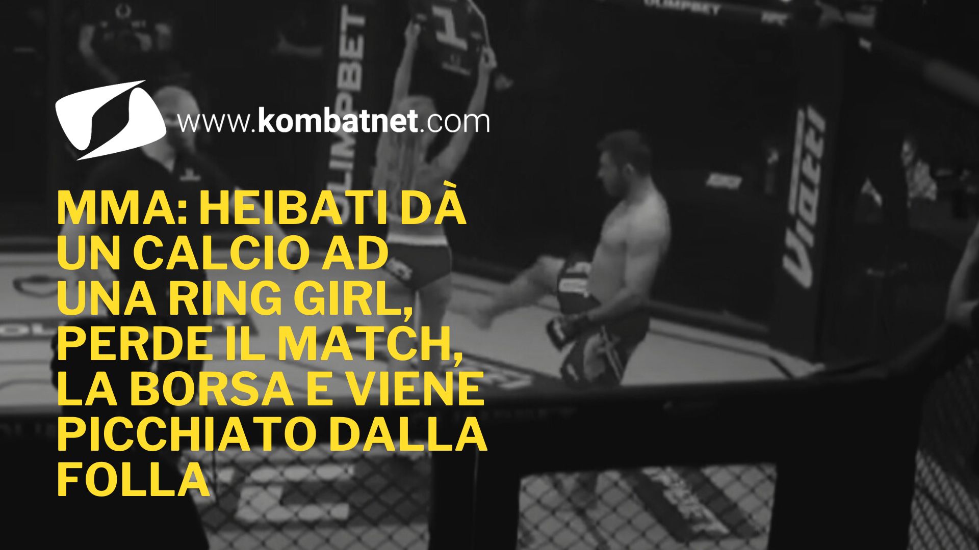 Follia nelle MMA: Ali Heibati dà un calcio ad una ring girl, perde  il match, la borsa e viene picchiato dalla folla