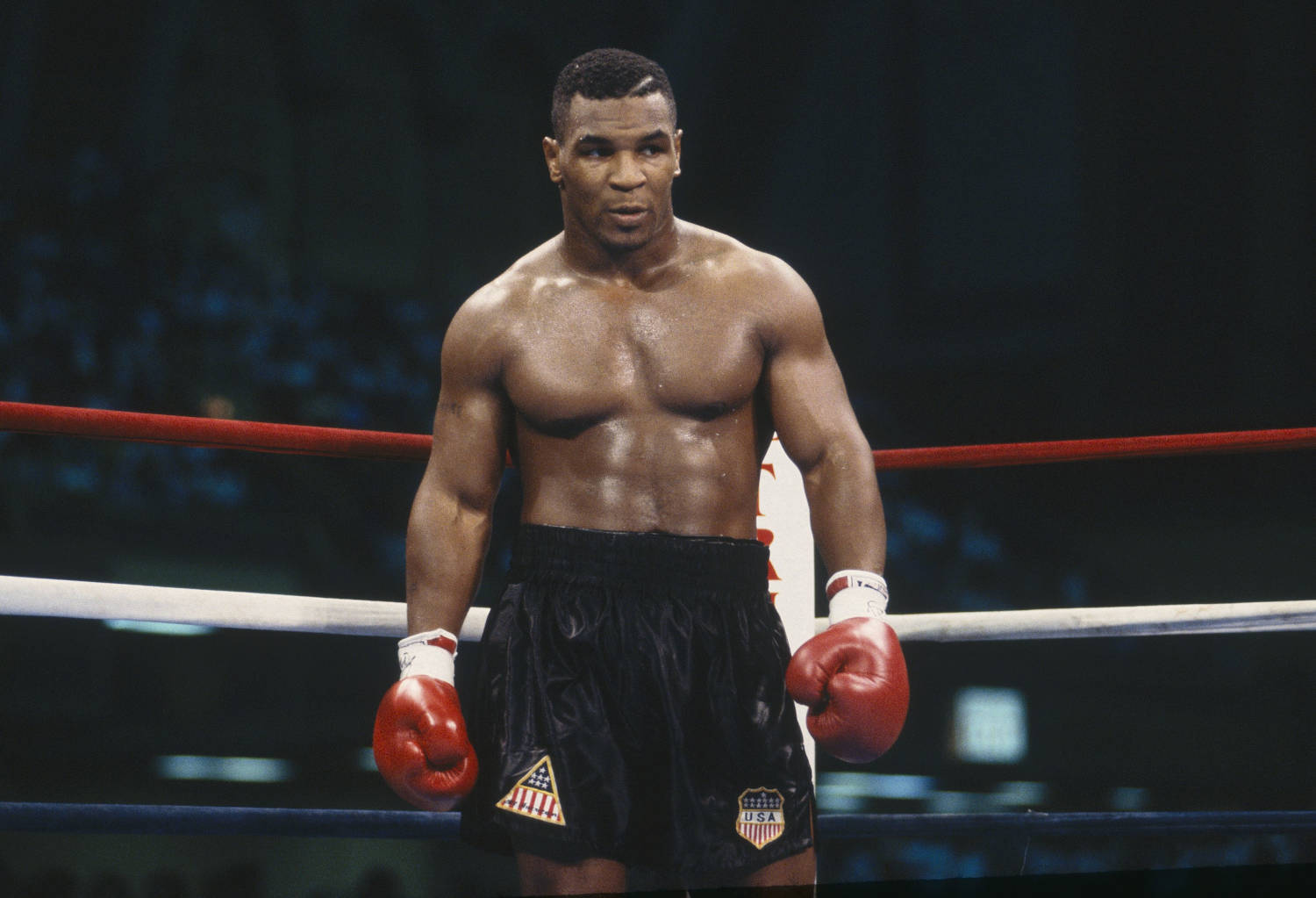 Mike Tyson Pugile Boxing Boxe Boxeur - Kombatnet Wiki