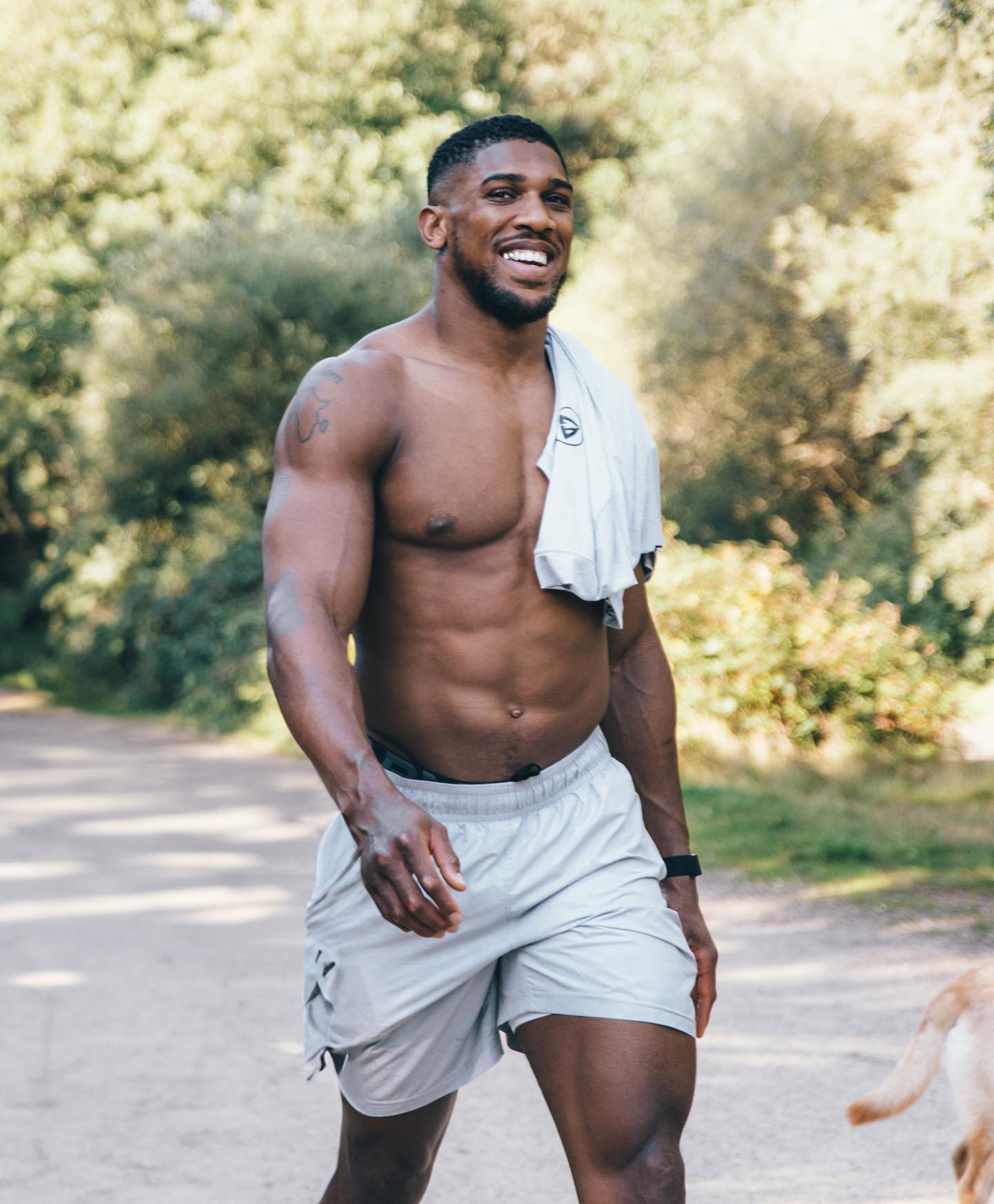 Anthony Joshua - Kombatnet